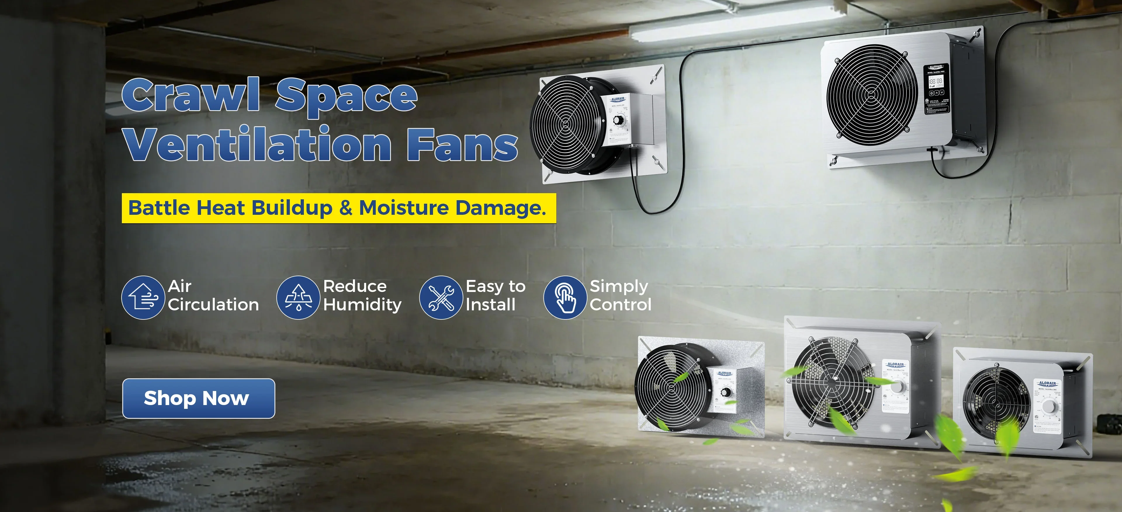 Master Your Home's Humidity Today